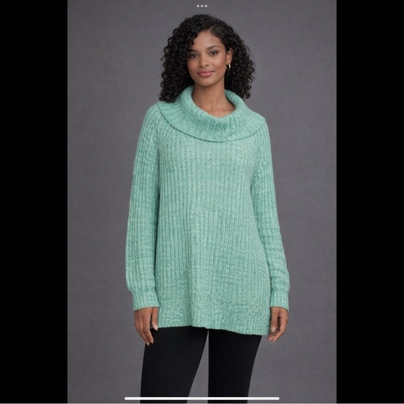 Coldwater Creek Sweaters - Coldwater Creek Plus Size 1X Green Cotton Blend Cowl Neck Tunic Sweater
